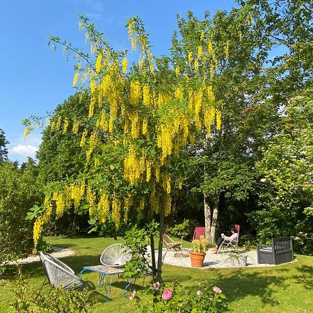 La Caillerie Bed and Breakfast Chauvé Exteriör bild